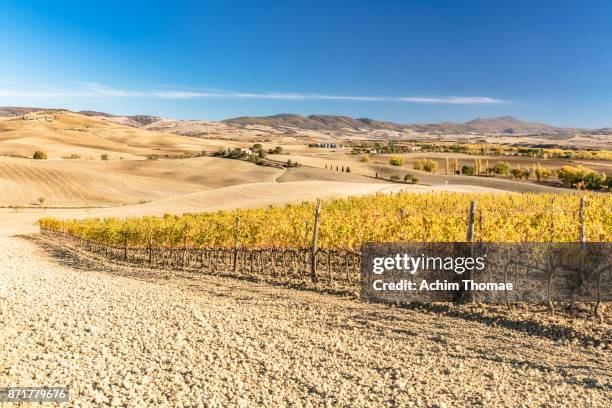 val d'orcia, tuscany, italy, europe - capella di vitaleta stock pictures, royalty-free photos & images