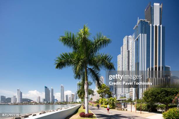 walkway along the glitzy avenida balboa in panama city - panamá imagens e fotografias de stock