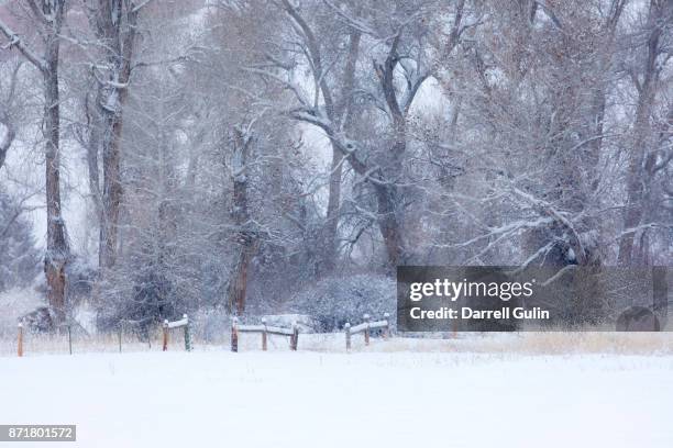 104 Cottonwood Idaho Stock Photos, HighRes Pictures, and Images