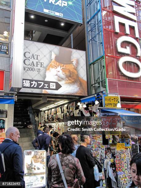 Sign for the Cat Cafe, a popular tourist destination on Takeshita Street, a major shopping district in Harajuku, Shibuya Ward, Tokyo, Japan, October...