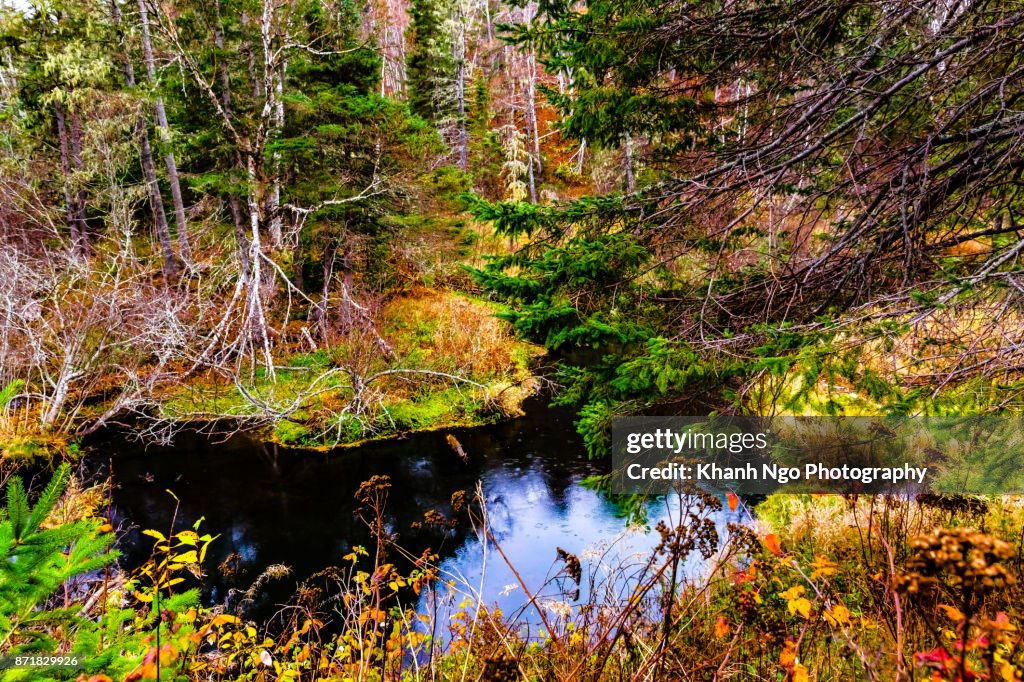 Autumn landscape in Canada