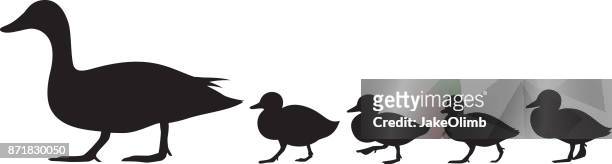 ilustrações de stock, clip art, desenhos animados e ícones de duck and ducklings silhouette - duck