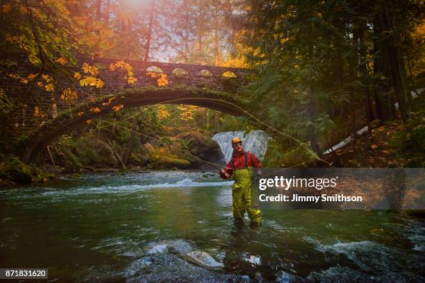 man freshwater fly fishing. - bellingham stockfoto's en -beelden