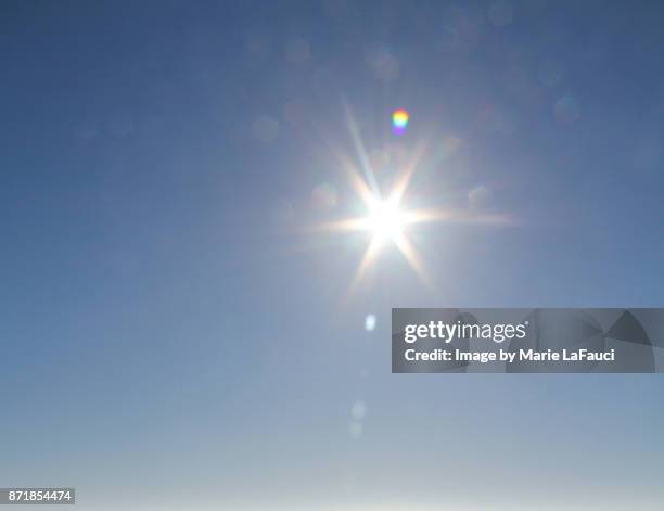 bright sunshine glare against blue sky - spotting bildbanksfoton och bilder