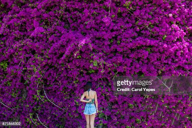 young brunette in casual clothes standing in front of bougainvillea - bougainville stockfoto's en -beelden