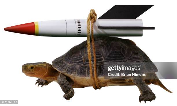 turtle with rocket (clipping paths included) - turtle with rocket clipping paths included stock pictures, royalty-free photos & images