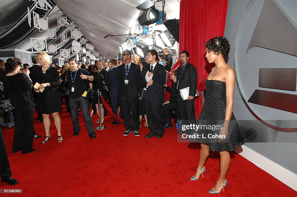 The 49th Annual GRAMMY Awards - Red Carpet