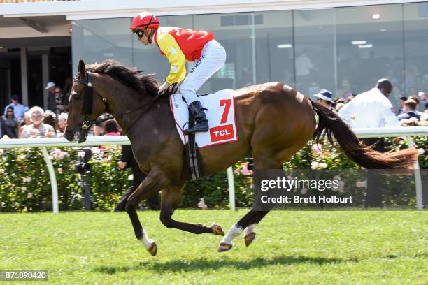 Well Sprung ridden by Ben Melham heads to the barrier before the TCL TV Stakes at Flemington Racecourse on November 09, 2017 in Flemington, Australia.