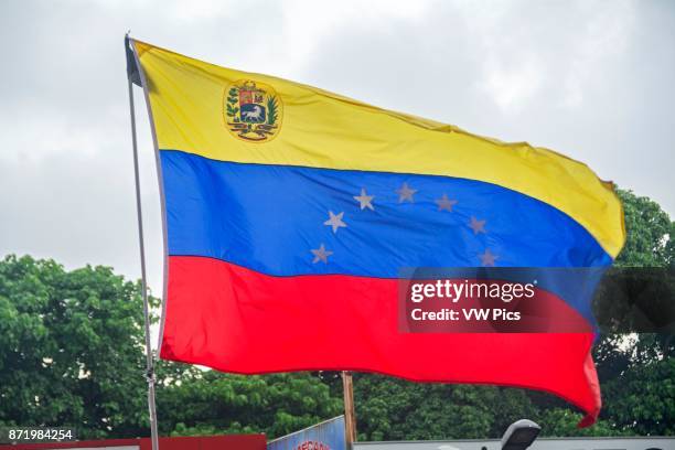 Flag of Venezuela in the march of the lights. Thousands of opponents of the Venezuelan government, Nicolas Maduro, held a tribute to the victims of...