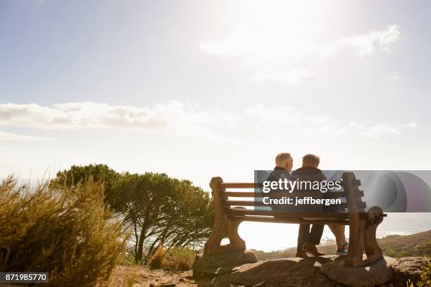 stressless, sunny days - bench imagens e fotografias de stock