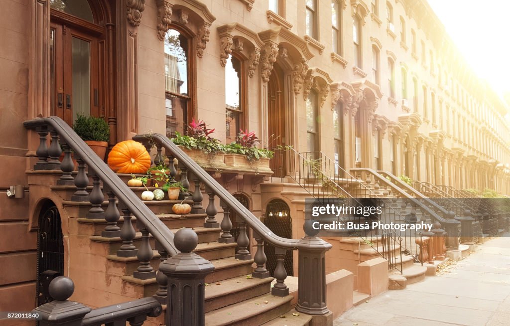 Elegant brownstones and townhouses in the district of Fort Greene, in Brooklyn, New York City