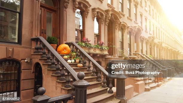 elegant brownstones and townhouses in the district of fort greene, in brooklyn, new york city - brooklyn brownstone foto e immagini stock