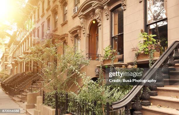 elegant brownstones and townhouses in the district of fort greene, in brooklyn, new york city - brooklyn brownstone foto e immagini stock