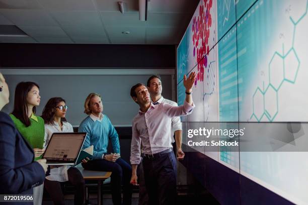 adults viewing data on a large display screen - identification chart imagens e fotografias de stock
