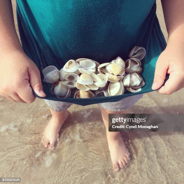 little boy collecting shells - boy exploring on beach stock-fotos und bilder