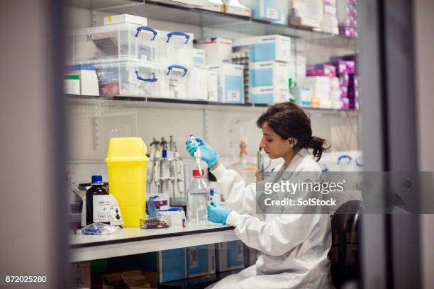disease cognostics laboratory - drug testing lab stock pictures, royalty-free photos & images