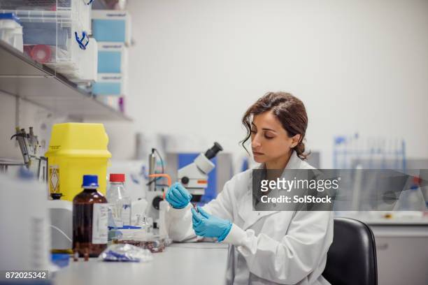 laboratorio de diagnóstico de la enfermedad - urine sample fotografías e imágenes de stock