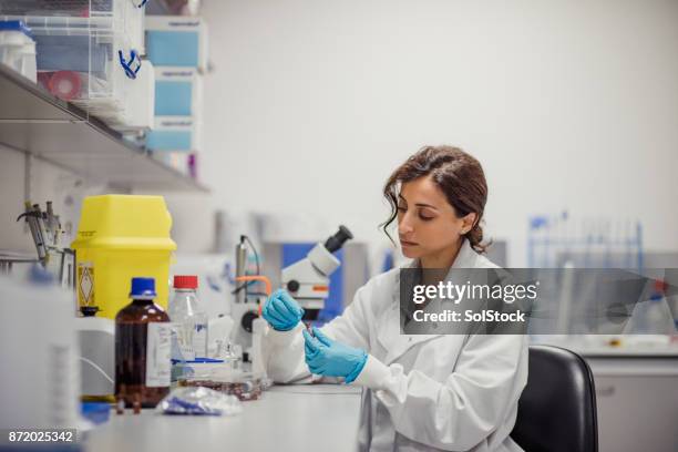 disease diagnosis laboratory - diagnostic aid stock pictures, royalty-free photos & images
