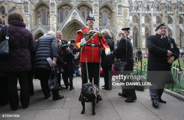 Warrant Officer Greg Hedges of the Staffordshire Regiment walks with their Bull Terrier mascot, Sgt Watchman V, after visiting the Field of...