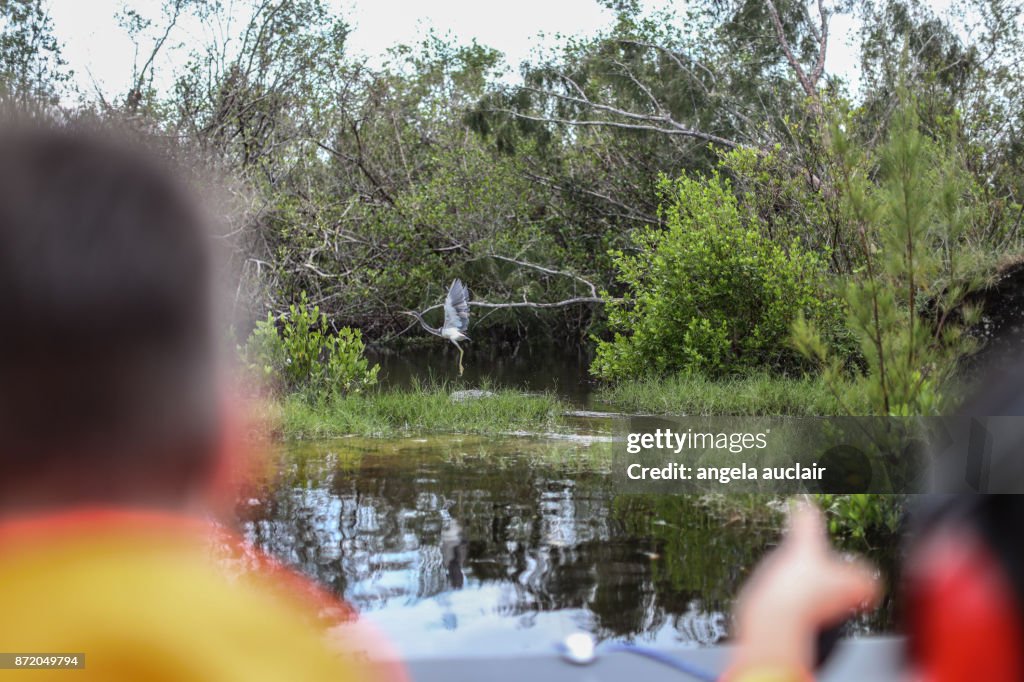 Tourist in Everglades City Airboat Ride