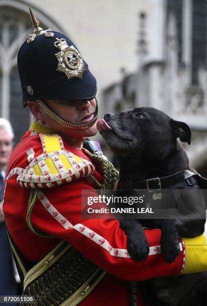 Warrant Officer Greg Hedges of the Staffordshire Regiment carriers their Bull Terrier mascot, Sgt Watchman V, after visiting the Field of Remembrance...