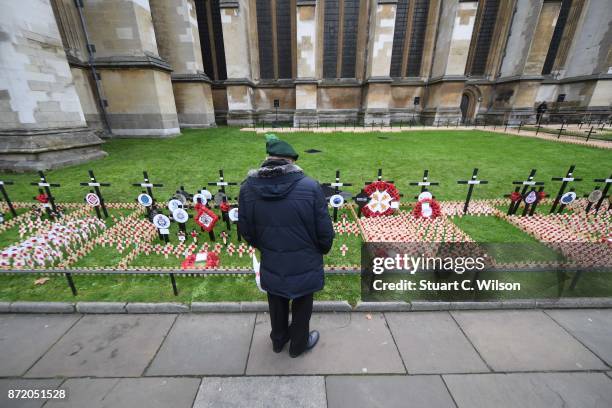 General view of military veterans visiting the Field of Remembrance at Westminster Abbey on November 9, 2017 in London, England.