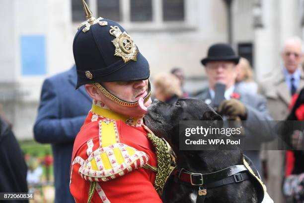 Watchman Greg Hedges with his Staffordshire Bull terrier at the Field of Remembrance at Westminster Abbey on November 9, 2017 in London, England.