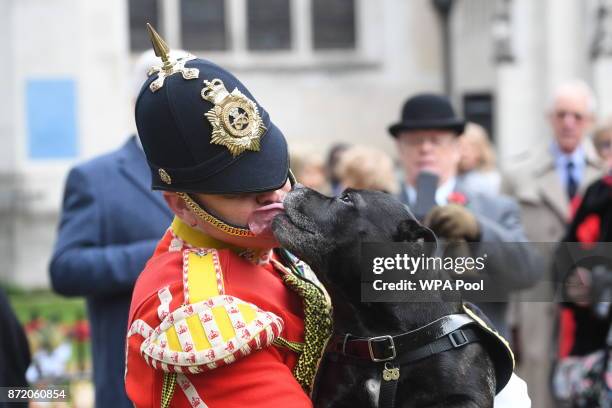 Watchman Greg Hedges with his Staffordshire Bull terrier at the Field of Remembrance at Westminster Abbey on November 9, 2017 in London, England.