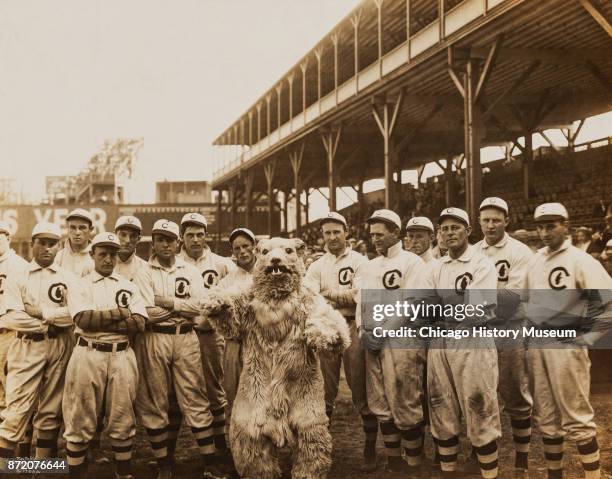 Portrait of the Chicago Cubs baseball team, with the team's mascot, as they pose on the field at West Side Grounds, Chicago, Illinois, 1908.