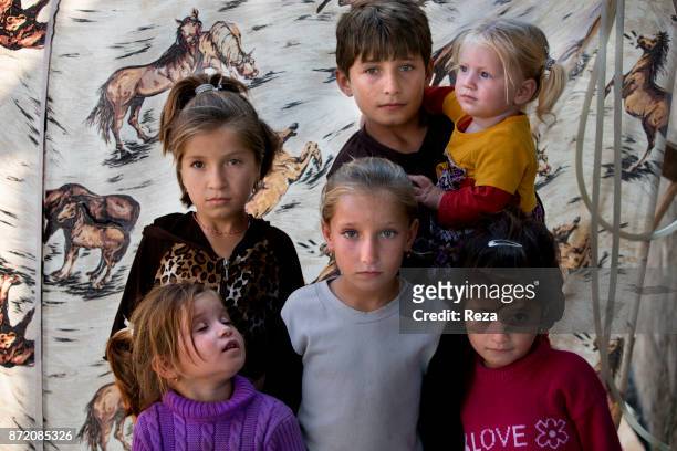 Refugee camp of Cham mishko, between Dohuk and Zakho. Refugee children of the same family, belonging to the Qirani Hajj Mirza tribe. The Cham mishko...