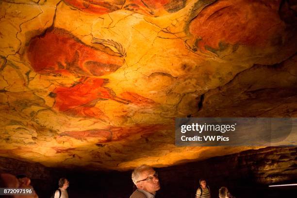 Bison Painting in Altamira caves, Upper Paleolithic museum, Santander, Cantabria, Spain. One of the stops of the Transcantabrico Gran Lujo luxury...