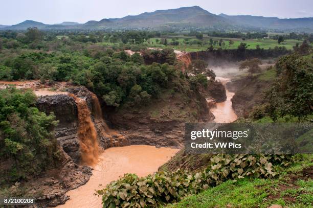 Tis Isat or Blue Nile waterfalls, Bahar Dar, Ethiopia, Africa. Tis Isat, the Blue Nile Falls. In the huge and beautiful lake Tana, there is the birth...