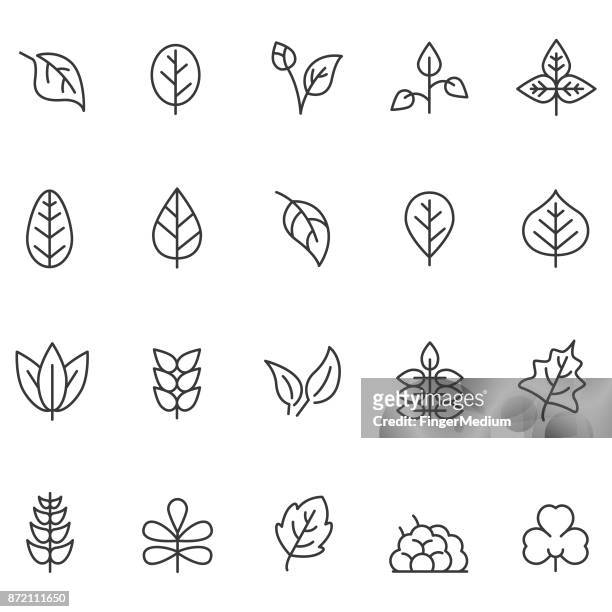 leaf icon set - leaf stock illustrations