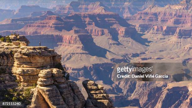 view of the grand canyons - grand canyon south rim stockfoto's en -beelden