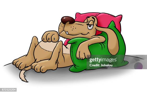 relaxed dog - animal lying on back stock illustrations