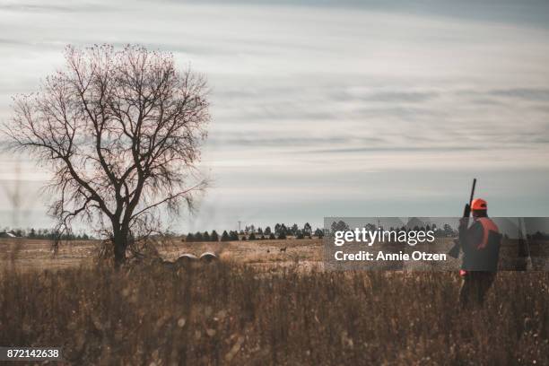 hunter looking at deer in distance - pheasant hunting stock pictures, royalty-free photos & images