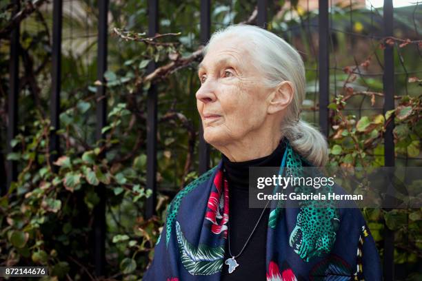 Primatologist Jane Goodall is photographed for New York Times on October 17, 2017 in New York City.