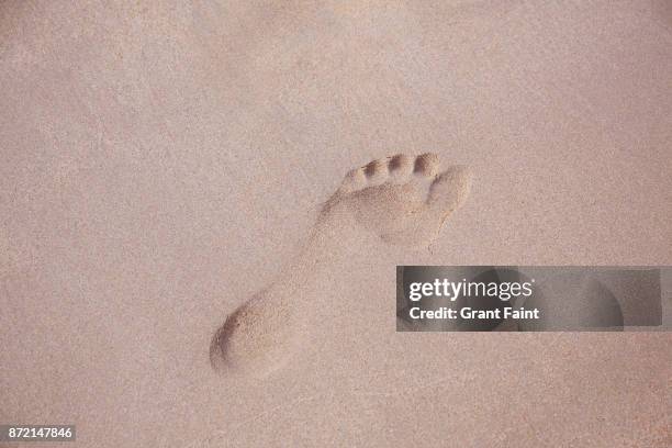 footprints on bondi beach - empreinte de pas photos et images de collection