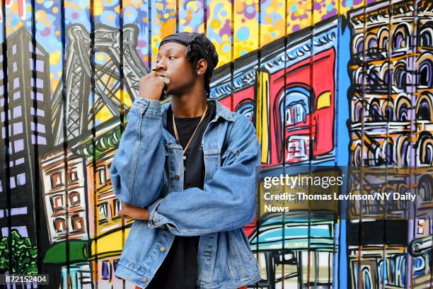 Joey Badass Rapping 3,018 Joey Badass Photos & High Res Pictures - Getty Images