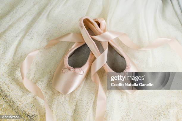 ballet shoes and white ballet tutu - chinelo imagens e fotografias de stock