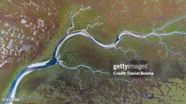 salt marsh on schiermonnikoog island seen from high above - saltäng bildbanksfoton och bilder