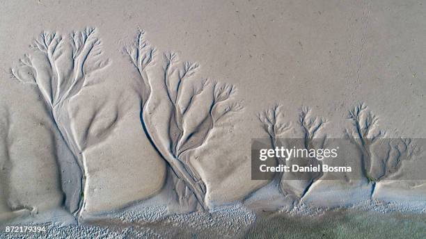 aerial view of amazing natural shapes and textures created by tidal changes - ebbe stock-fotos und bilder