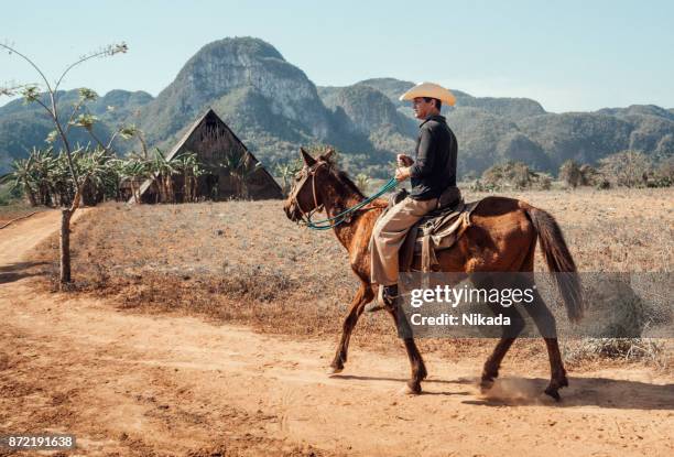 local cowboy riding horse in cuba - vinales stock pictures, royalty-free photos & images