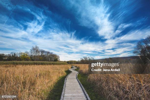 appalachian trail boardwalk - escalera hacia el cielo fotografías e imágenes de stock