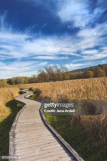 wooden hiking path along appalachian trail - stairway to heaven engelse uitdrukking stockfoto's en -beelden