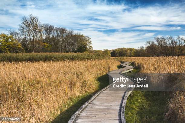 scenic hiking trail no people - new jersey stock pictures, royalty-free photos & images