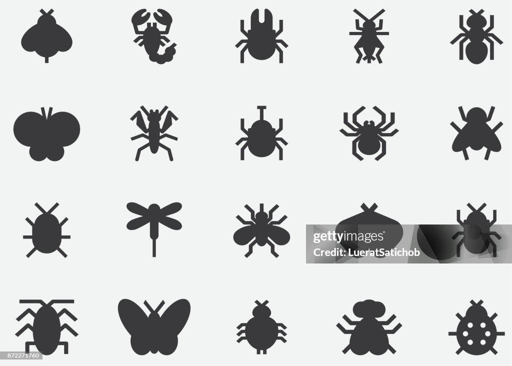 Iconos de silueta negra de insectos y bichos