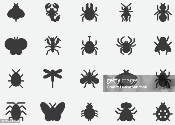 ilustrações de stock, clip art, desenhos animados e ícones de insects and bugs black silhouette icons - inseto