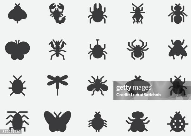 insects and bugs black silhouette icons - butterfly insect stock illustrations