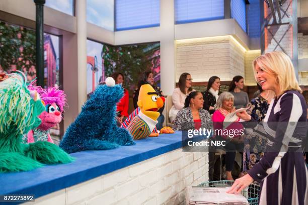 Pictured: Sesame Street on Wednesday, November 8, 2017 --